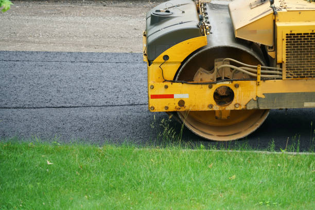 Best Custom Driveway Pavers  in Johnson City, NY